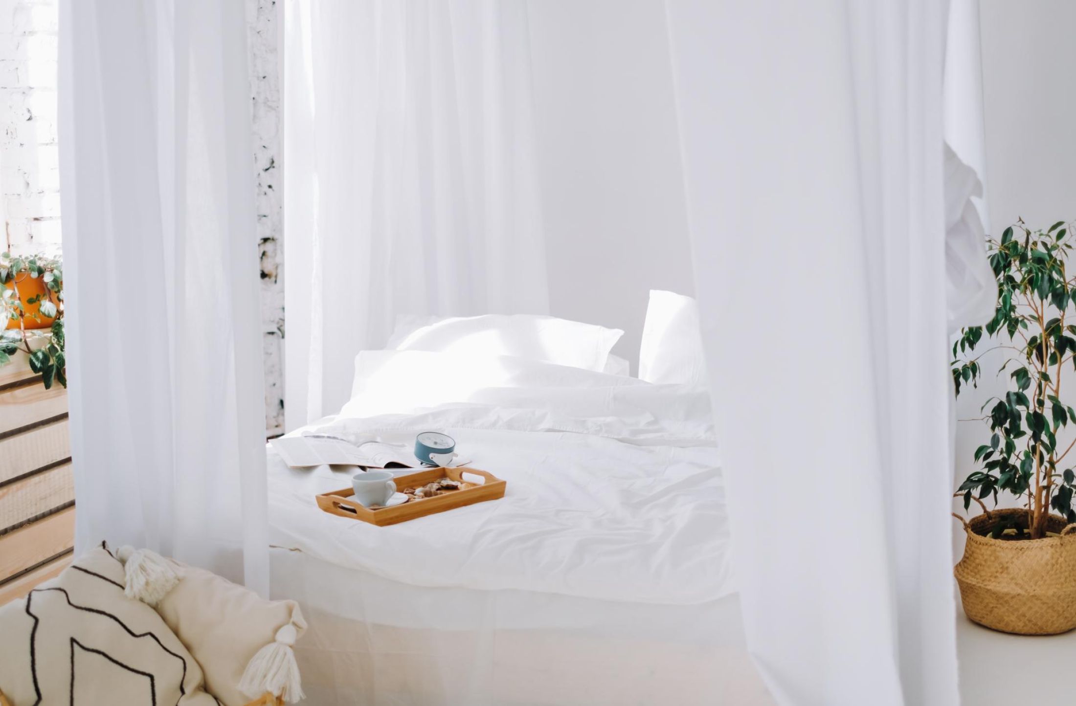 Profesjonalne Zarządzanie